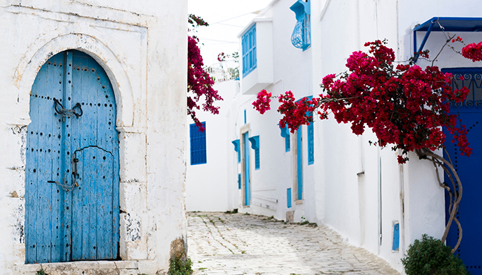 MD669 - TUNEZ AL COMPLETO