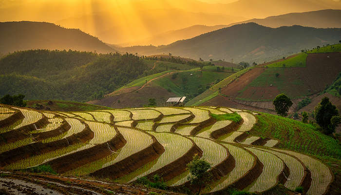 MM807 TAILANDIA FASCINANTE CON PHI PHI