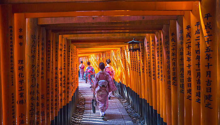 MM831 TESOROS DEL LEJANO ORIENTE