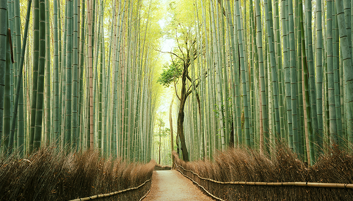 MM833 NAKASENDO, JAPON IMPERIAL