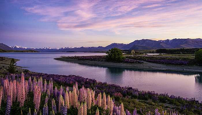 MM1035 NUEVA ZELANDA, AOTEAROA