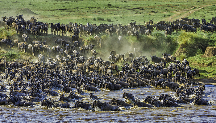 MM880 DESCUBRIENDO TANZANIA Y KENIA