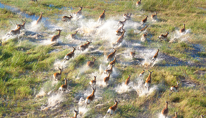 MM892 ZIMBAWE Y BOTSWANA