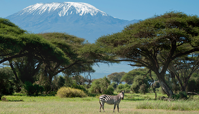 MM885 LO MEJOR DE TANZANIA Y ZANZIBAR