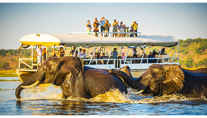 MM845 KENYA EN ESENCIA Y ZIMBAWE