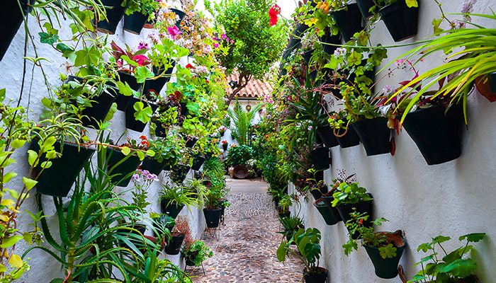 IB111 - MADRID, ANDALUCIA Y MARRUECOS