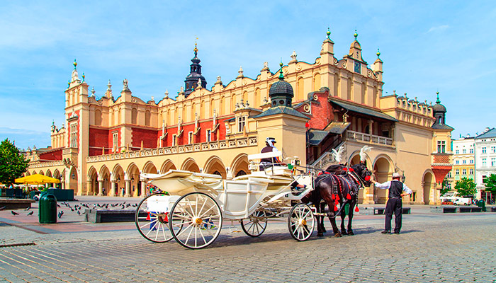 CE427 - POLONIA CON VIENA Y BERLIN